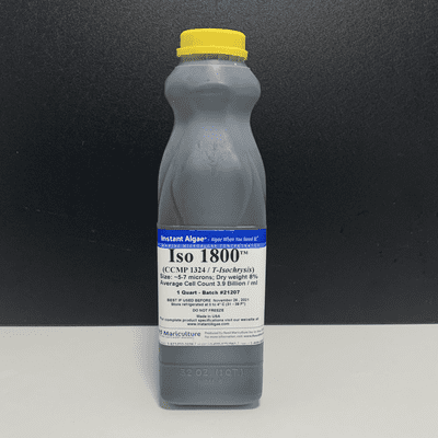 Reed Isochrysis 1800 microalgae