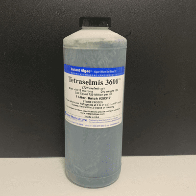 Reed Tetraselmis 3600 microalgae