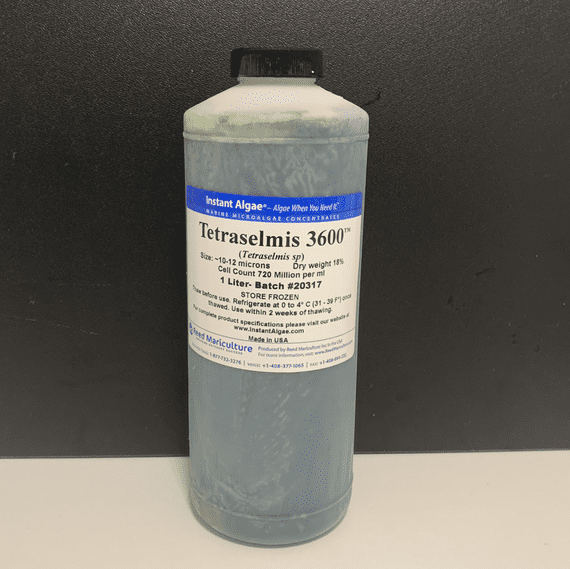 Reed Tetraselmis 3600 microalgae