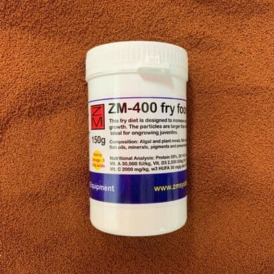 ZM-400 fry food