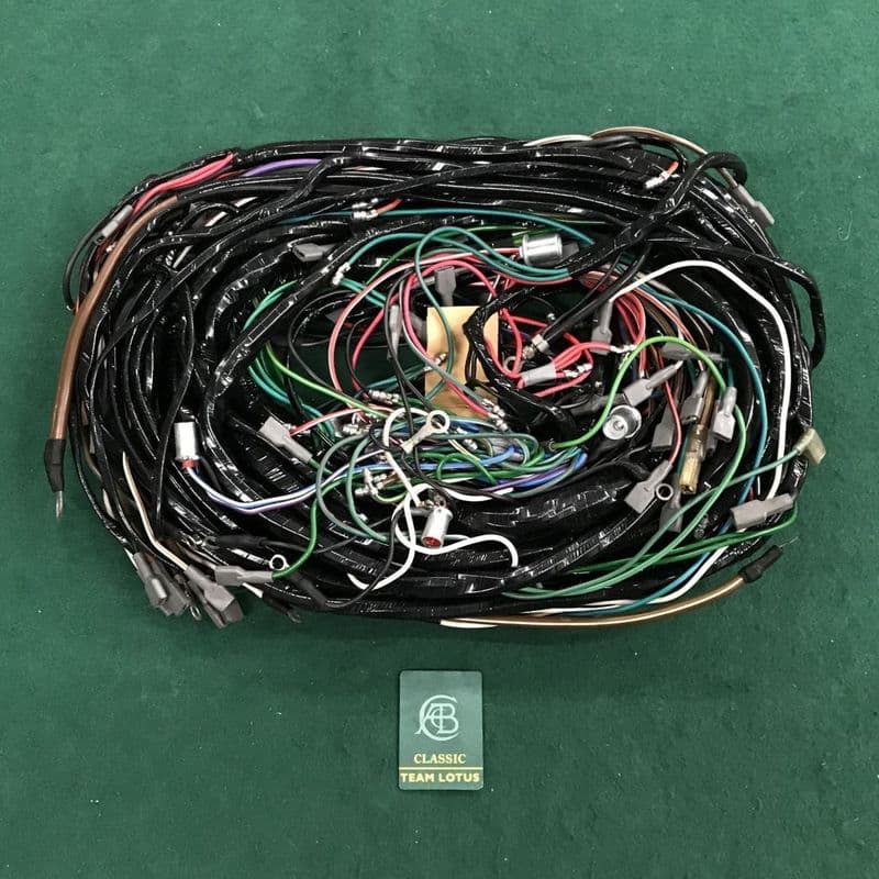 Main Wiring Loom, Europa S2 | 676