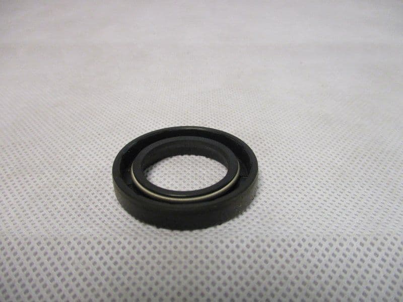 Oil Seal Camshaft Rear 300