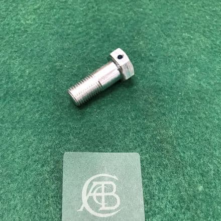 Rear Caliper Mounting Bolt | 725