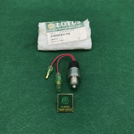 Reverse Light Switch | 903