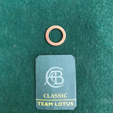 Sump Plug Washer, M100 | 323