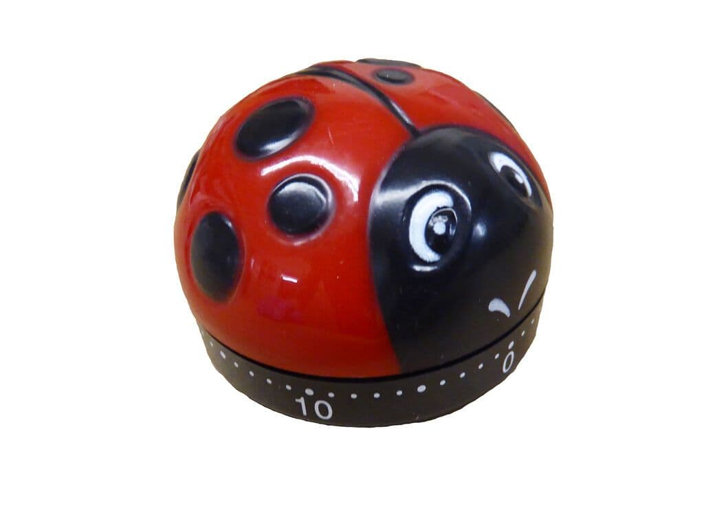 2 x KITCHEN LADYBIRD COOKING TIMER