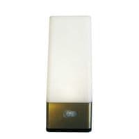 AUTOMATIC LED NIGHT LIGHT PIR SENSOR TABLE LAMP light home bathroom cupboard