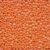00423 Tangerine Glass Seed Beads