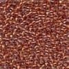 02052 Dark Coral Glass Seed Beads