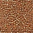 03038 Antique Ginger Glass Seed Beads