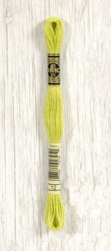 12 - DMC Stranded Cotton thread