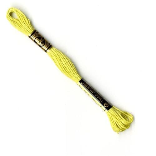 165 - DMC stranded cotton thread