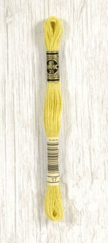 17 - DMC Stranded Cotton thread