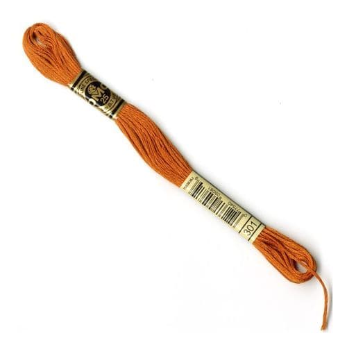 301 - DMC stranded cotton thread