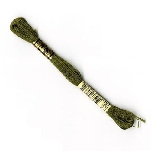 3051 - DMC stranded cotton thread