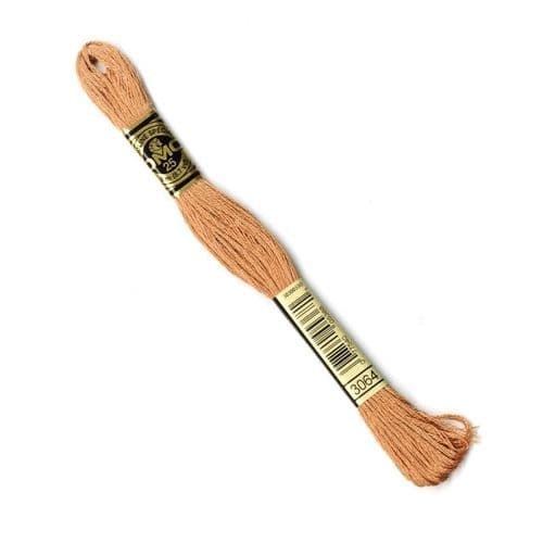 3064  - DMC stranded cotton thread