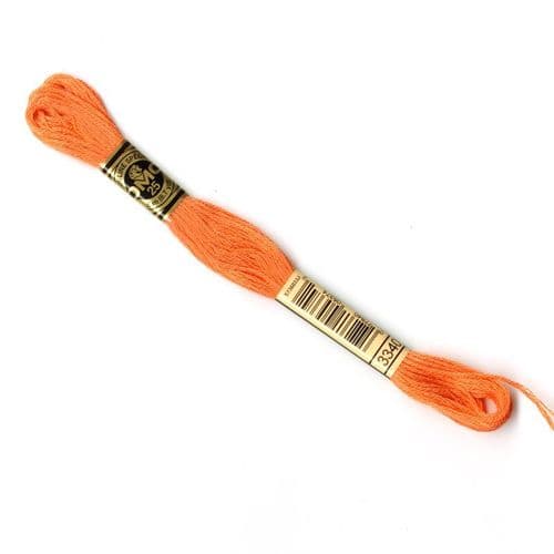 3340  - DMC stranded cotton thread