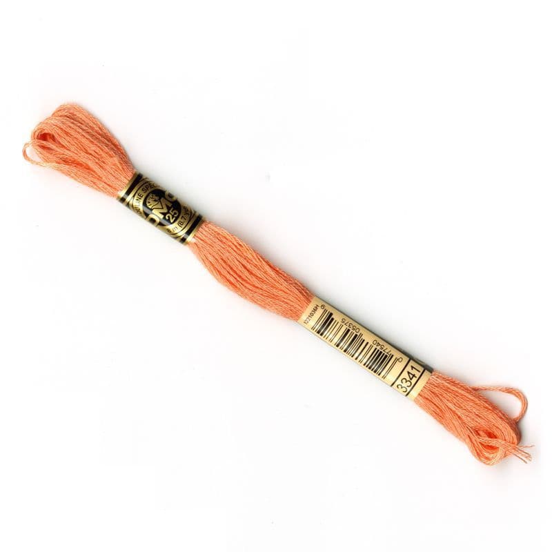 3341 - DMC stranded cotton thread