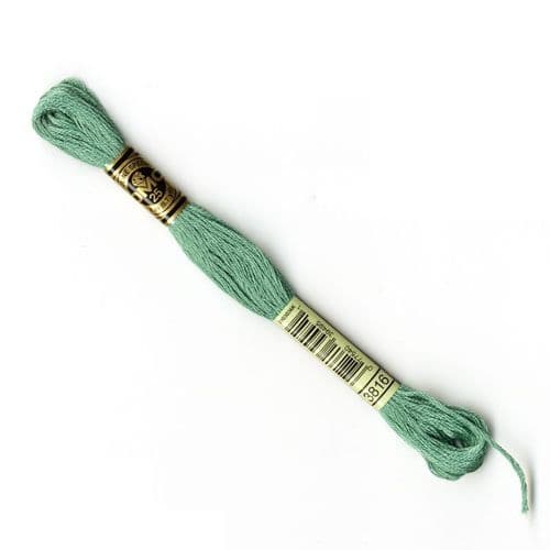 3816 - DMC stranded cotton thread