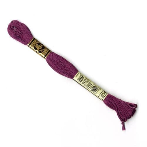 3834 - DMC stranded cotton thread