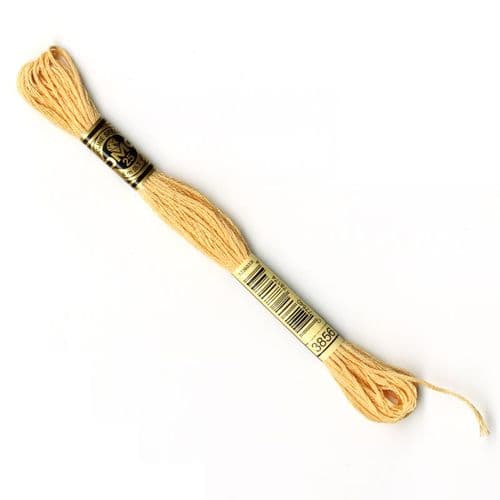 3856 - DMC stranded cotton thread