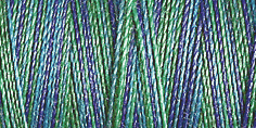 4016 Sulky Cotton Petites No 12 Wt Thread