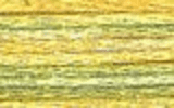 4080 Daffodil Fields - DMC Color Variation Thread