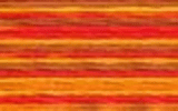 4122 Fall Harvest - DMC Color Variation Thread