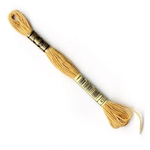 437 - DMC stranded cotton thread