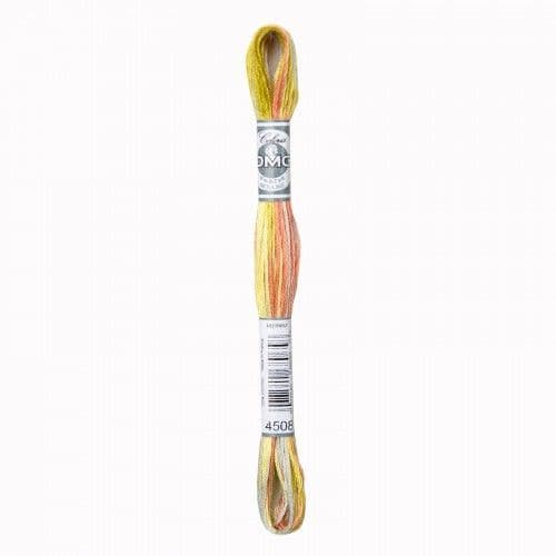 4508 Frosted Countryside - DMC Coloris thread