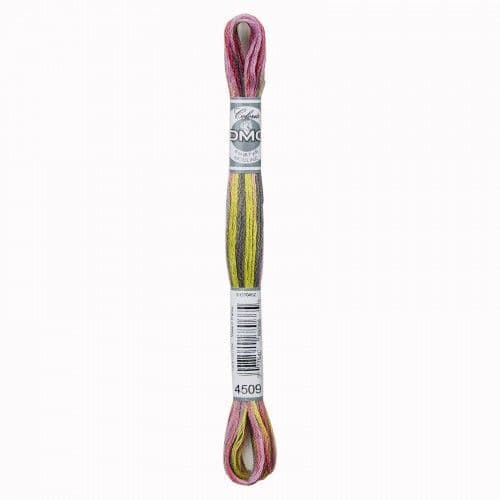 4509 Granite Coast - DMC Coloris thread