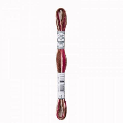 4516 Black Forest - DMC Coloris thread