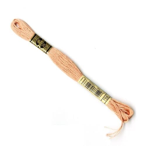 758 - DMC stranded cotton thread