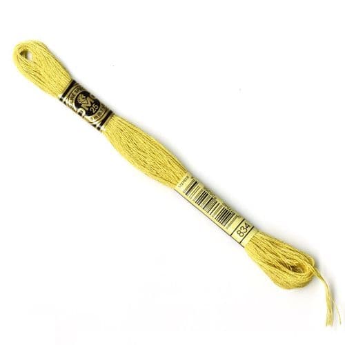 834 - DMC stranded cotton thread