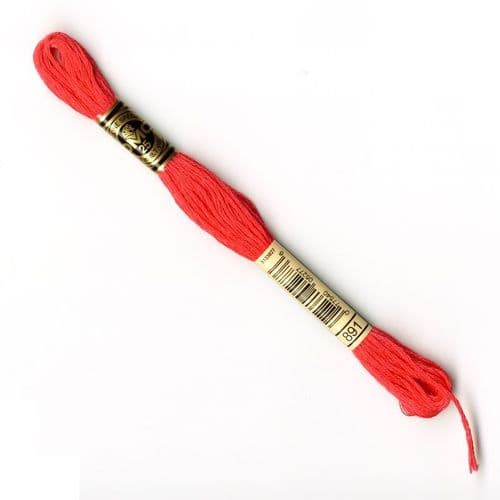 891 - DMC stranded cotton thread