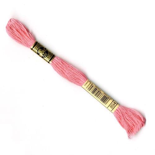 894 - DMC stranded cotton thread