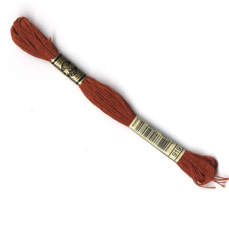 919 - DMC stranded cotton thread