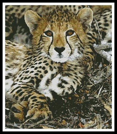 Baby Cheetah by Artecy printed cross stitch chart