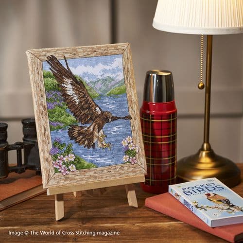 Bird's Sky View Eagle Canvas WOXS Issue 345 project pack