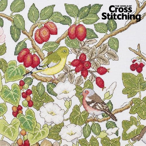Birds Stitch Along Full Kit WOXS Issue 377 project pack