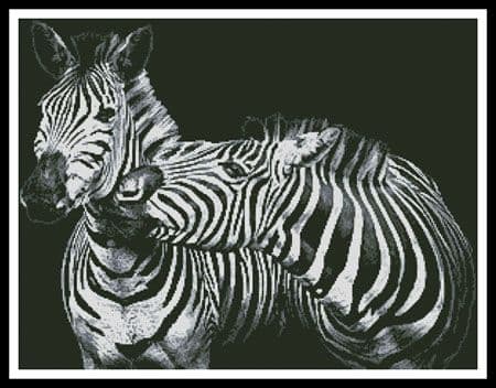 Black and White Zebras by Artecy printed cross stitch chart