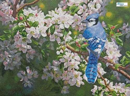 Blue Jay in Apple Blossoms by Artecy printed cross stitch chart