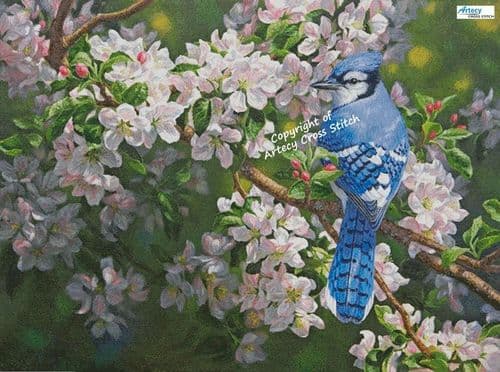 Blue Jay in Apple Blossoms (Large) by Artecy printed cross stitch chart