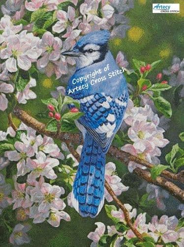Blue Jay in Apple Blossoms (Large Crop) by Artecy printed cross stitch chart