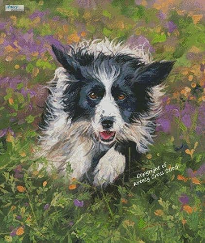 Border Collie Running by Artecy printed cross stitch chart