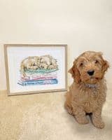 Bothy Threads A Pup's Life - Hannah Dale cross stitch kit