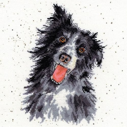 Bothy Threads Collie - Hannah Dale cross stitch kit - EXCESS STOCK