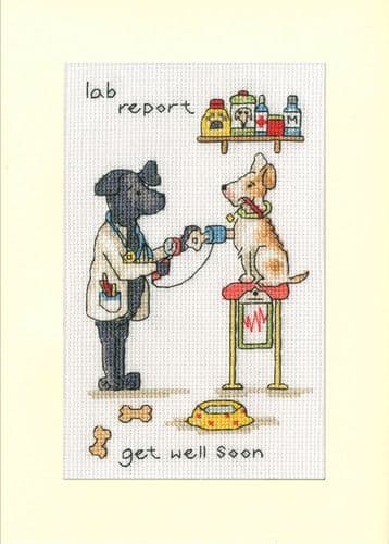 Bothy Threads Lab Report card cross stitch kit