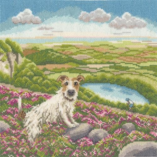 Bothy Threads One Vet And His Dog Lucy Pittaway cross stitch kit