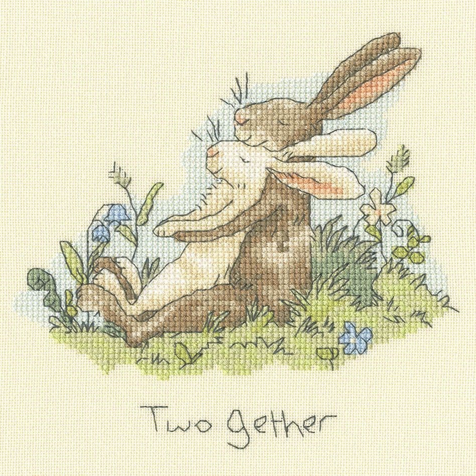 Bothy Threads Kreuzstich-Set „Ein Hase Zum Lieben“ – 12x18 Cm, Inkl. Aida, Garn, Nadel & Anleitung (Design: Anita Jeram)